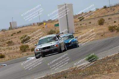 media/May-03-2025-Lucky Dog Racing (Sat) [[206de64b9d]]/Turn 6 (150pm-230pm)/